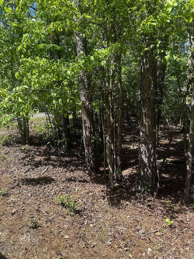 23 Andorra Cir, Hot Springs Village, AR 71909