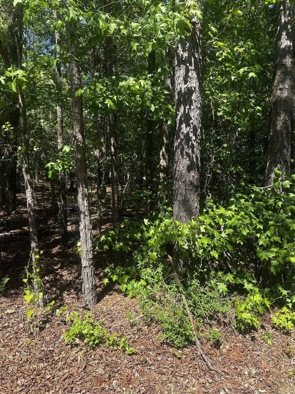 23 Andorra Cir, Hot Springs Village, AR 71909