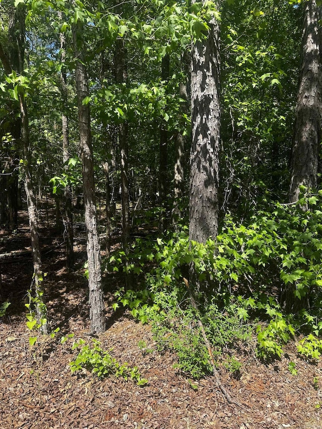23 Andorra Cir, Hot Springs Village, AR 71909
