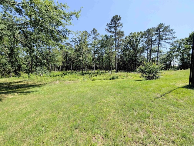 149 Polk Rd Unit 714, Mena, AR 71953 - view of grassy yard