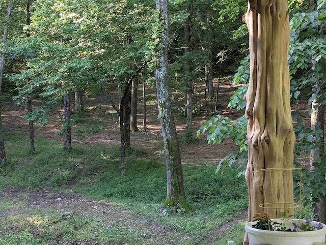 149 Polk Rd Unit 714, Mena, AR 71953 - view of undeveloped land