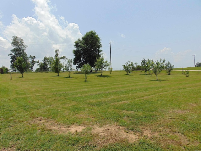 410 Rocky Point Rd, Vilonia, AR 72173 - view of green lawn