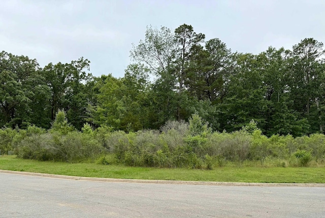 LOT69 Spring Valley Ln, Little Rock, AR 72223