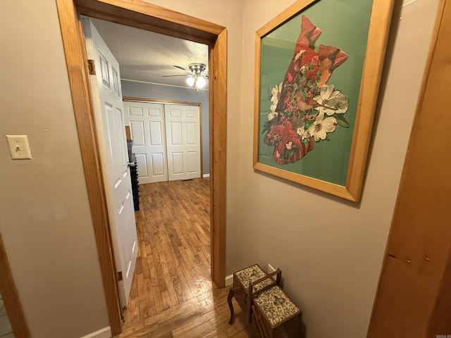 221 N Garfield Ave, Piggott, AR 72454 - hallway with wood-type flooring and baseboards