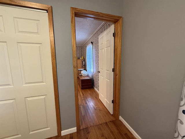 221 N Garfield Ave, Piggott, AR 72454 - hallway with wood finished floors and baseboards
