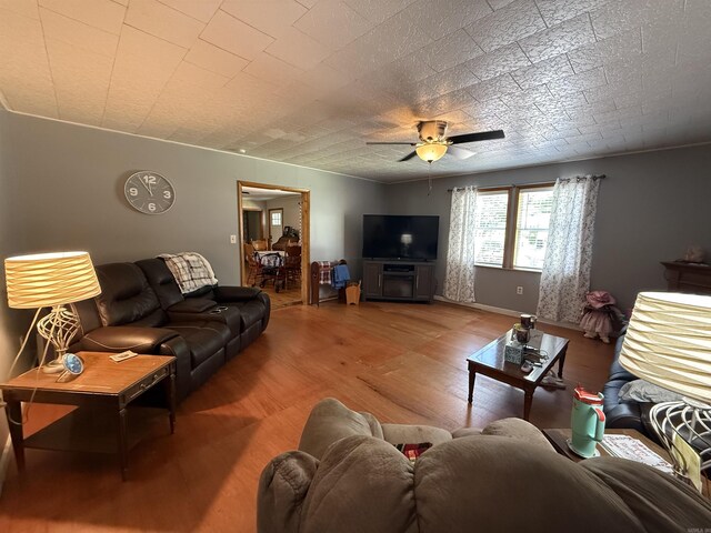 221 N Garfield Ave, Piggott, AR 72454 - living area featuring wood finished floors and a ceiling fan