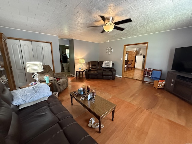 221 N Garfield Ave, Piggott, AR 72454 - living area with wood finished floors and ceiling fan