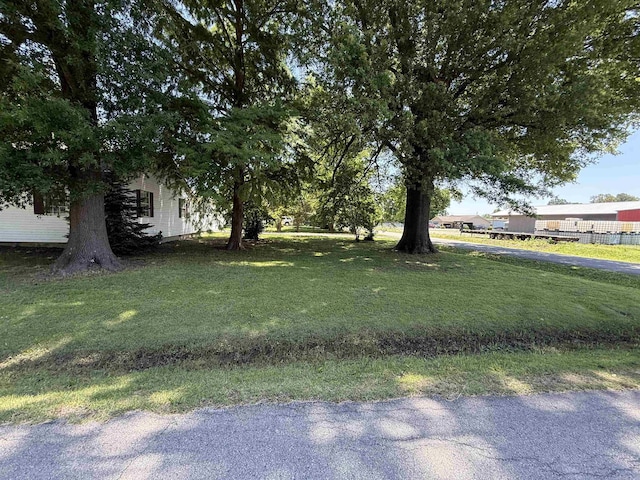 221 N Garfield Ave, Piggott, AR 72454 - view of green lawn