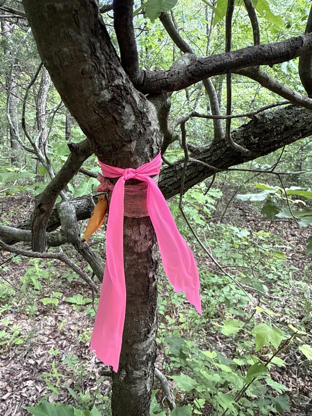 0 Red River Rd, Marshall, AR 72650