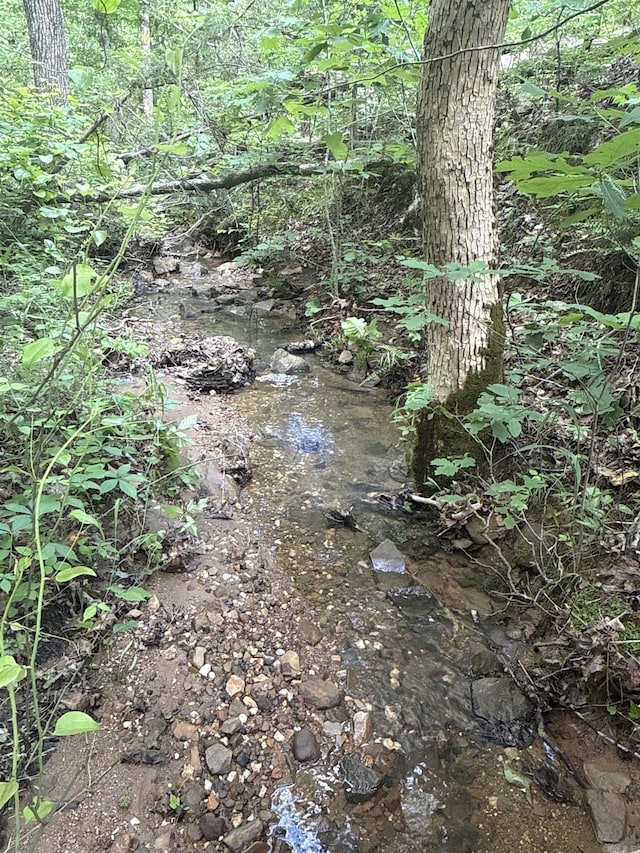 0 Red River Rd, Marshall, AR 72650