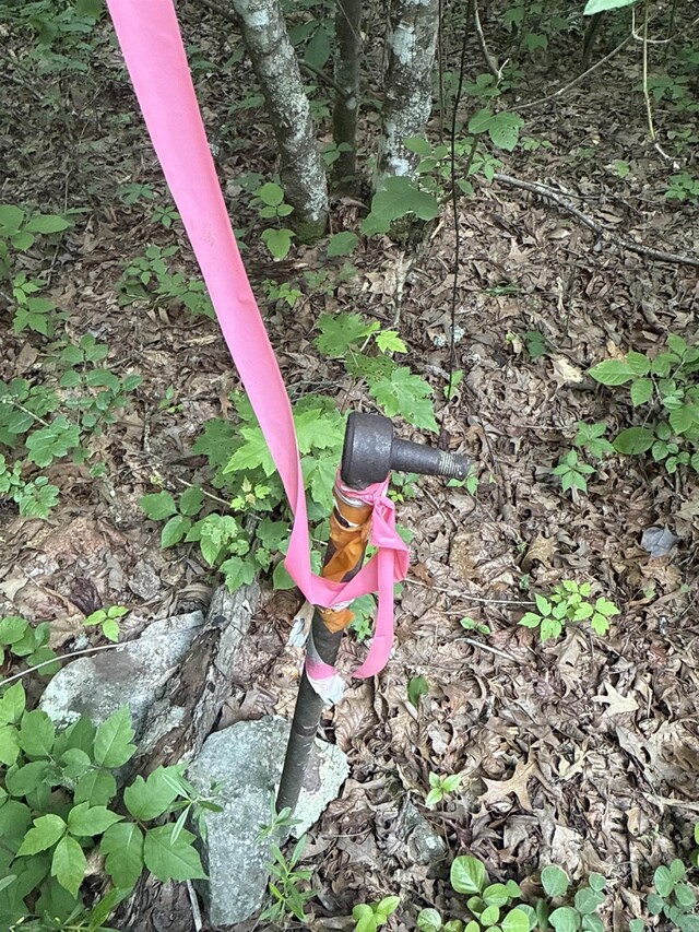 0 Red River Rd, Marshall, AR 72650