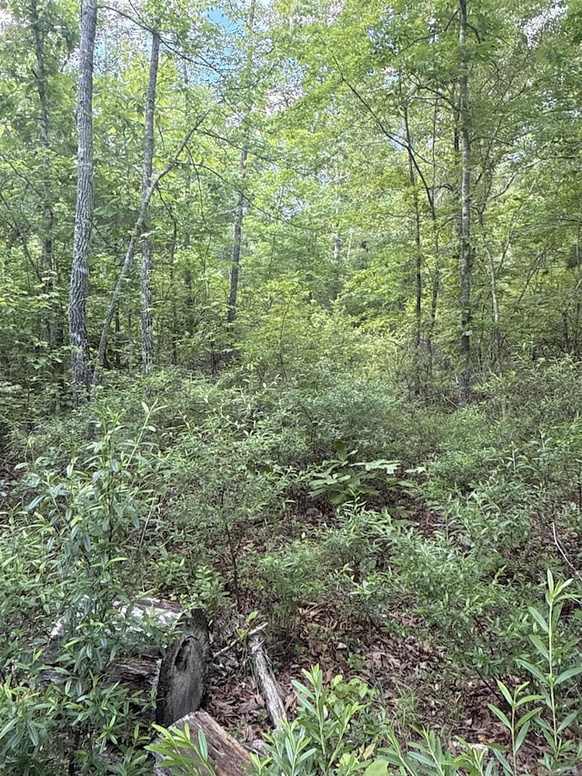 0 Red River Rd, Marshall, AR 72650