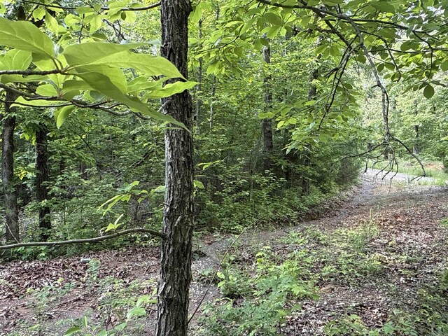 0 Red River Rd, Marshall, AR 72650