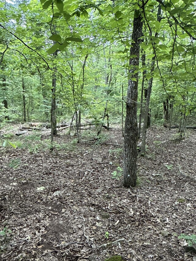 0 Red River Rd, Marshall, AR 72650