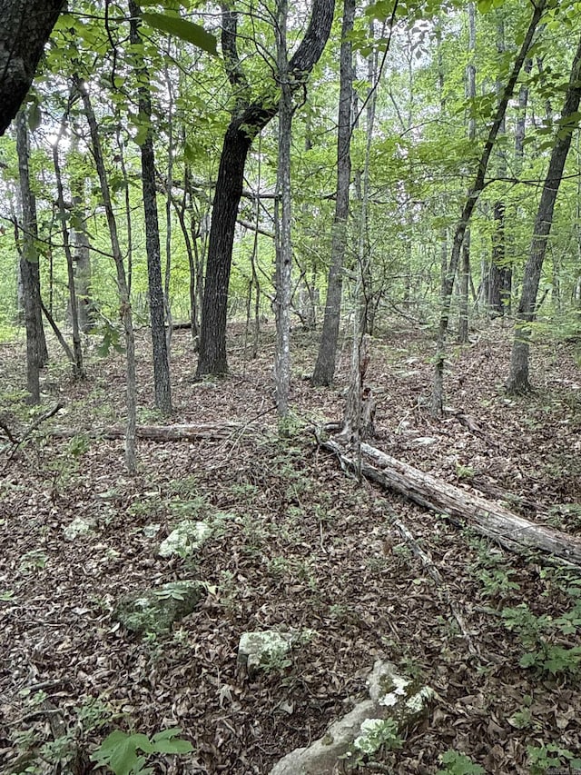 0 Red River Rd, Marshall, AR 72650
