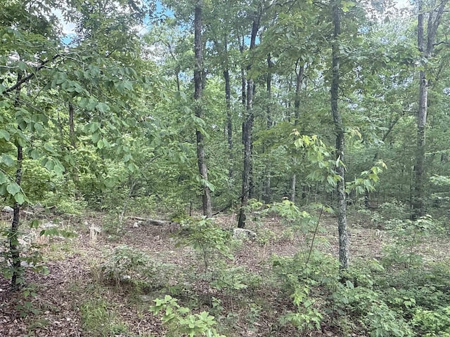 0 Red River Rd, Marshall, AR 72650