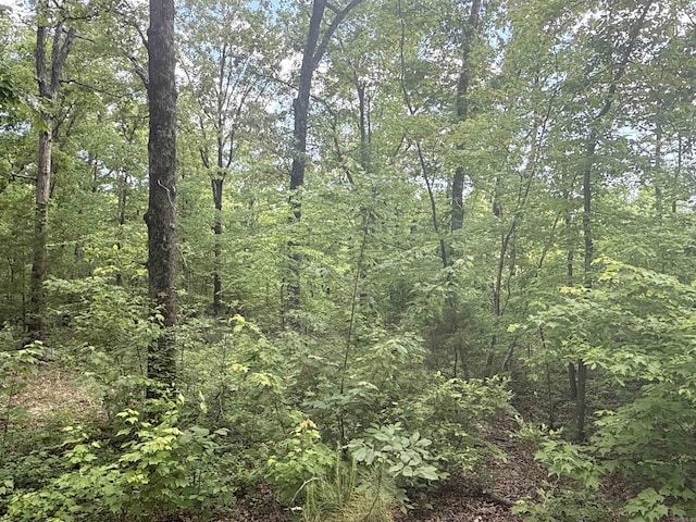 0 Red River Rd, Marshall, AR 72650