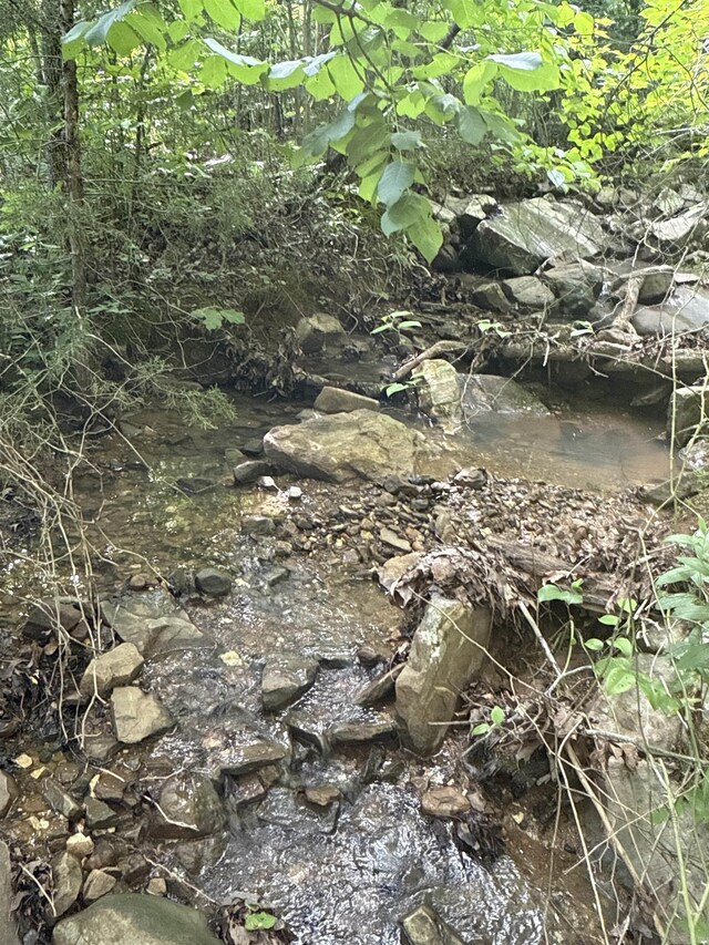 0 Red River Rd, Marshall, AR 72650