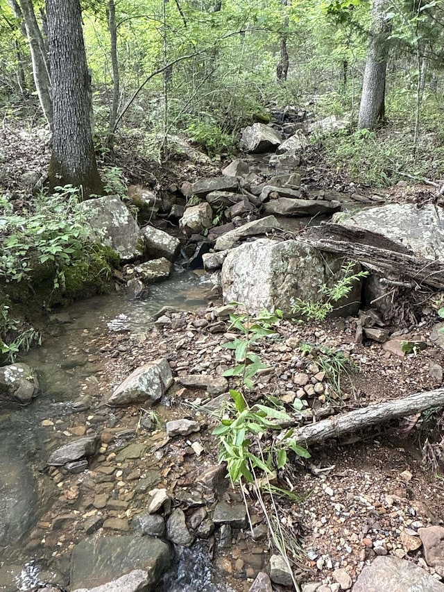 0 Red River Rd, Marshall, AR 72650