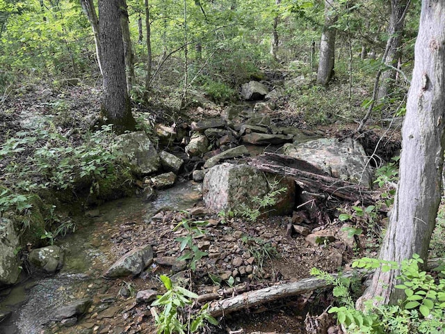 0 Red River Rd, Marshall, AR 72650