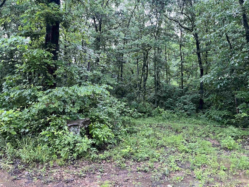 000 Endline Rd, Marshall, AR 72650