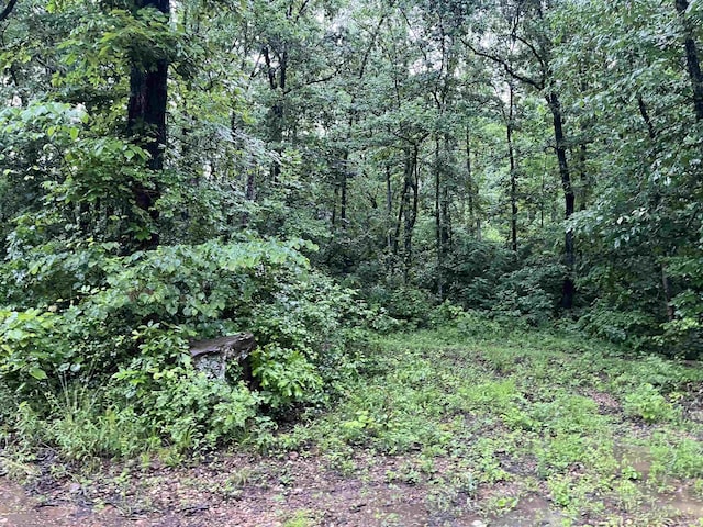 000 Endline Rd, Marshall, AR 72650