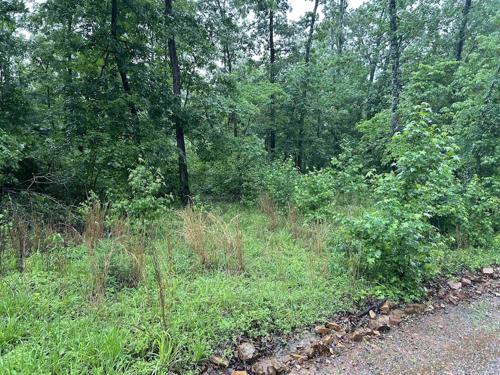 000 Endline Rd, Marshall, AR 72650