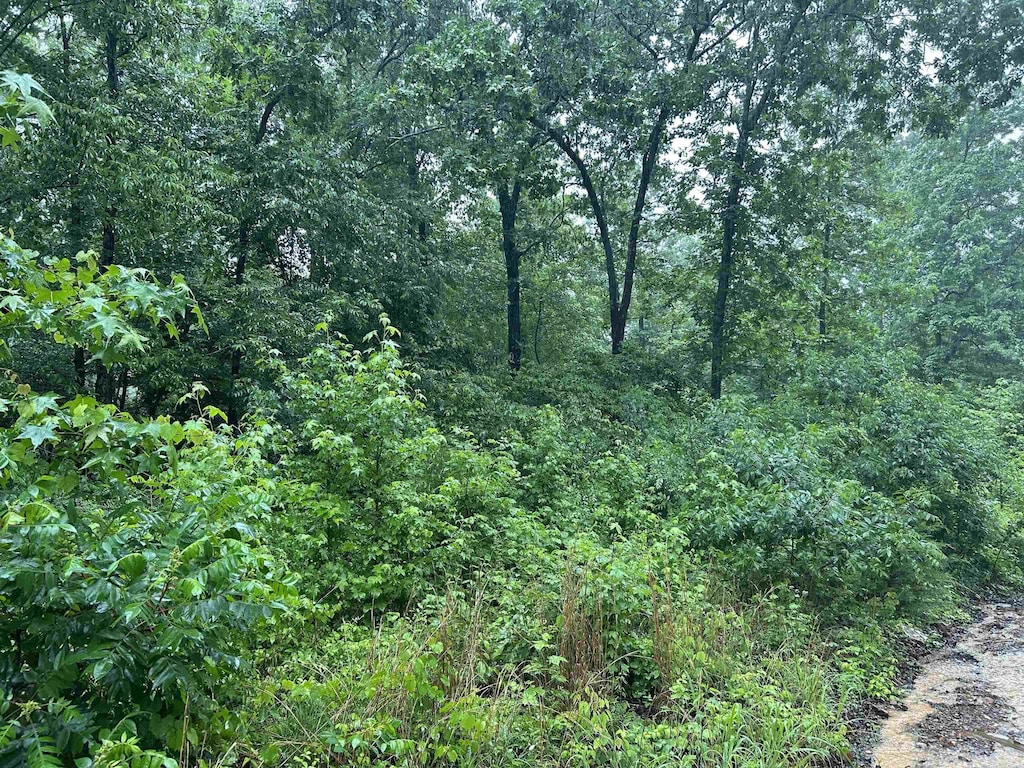 000 Endline Rd, Marshall, AR 72650