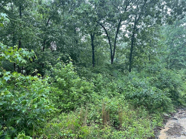 000 Endline Rd, Marshall, AR 72650
