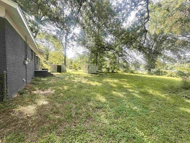 3003 Hollywood St, Texarkana, TX 75503 - view of grassy yard