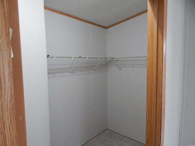 505 Main, West Point, AR 72178 - walk in closet with carpet flooring