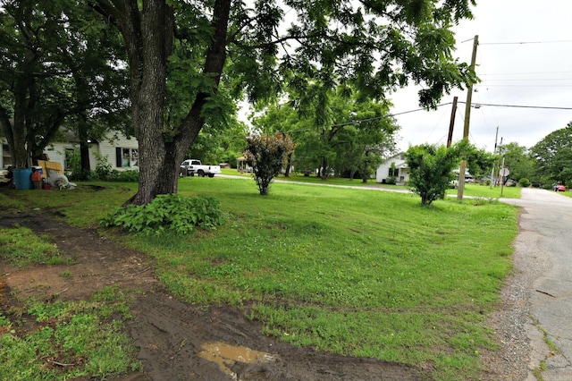 911 Gillham, Mena, AR 71953 - view of yard