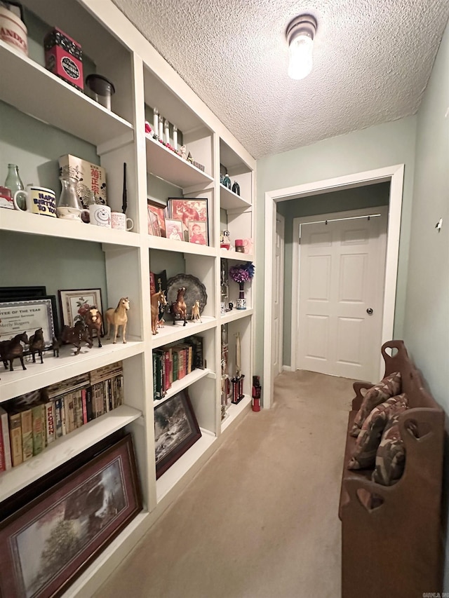 300 Michelle Ave, White Hall, AR 71602 - hallway with a textured ceiling and carpet flooring