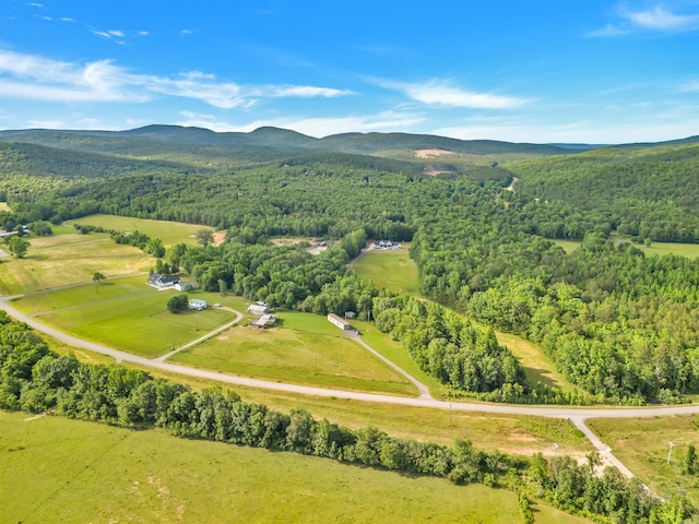 19300 Lake Winona Rd, Paron, AR 72122 - aerial view of property's location with a forest and a mountainous background