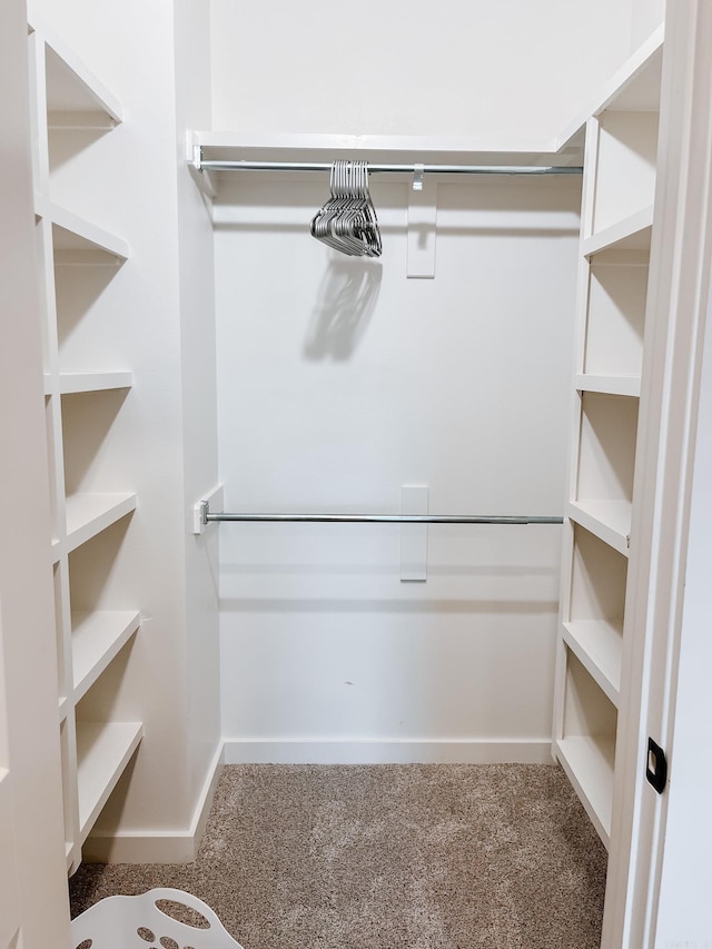 111 Legacy Way, Ward, AR 72176 - spacious closet featuring carpet flooring