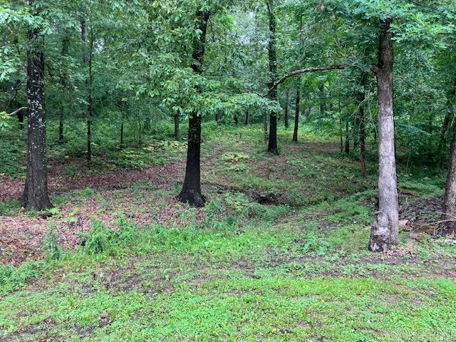 3244 Pyburn Ext, Pocahontas, AR 72455 - view of wooded area