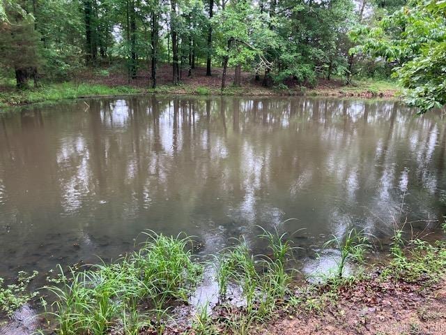 3244 Pyburn Ext, Pocahontas, AR 72455 - water view