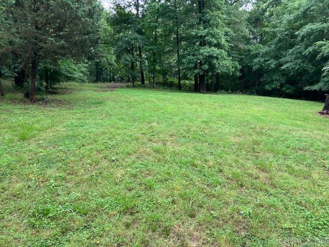 3244 Pyburn Ext, Pocahontas, AR 72455 - view of grassy yard with a view of trees