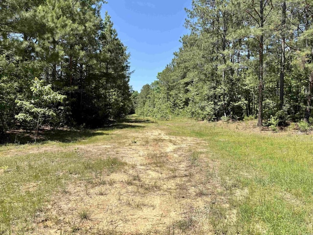 177 Timberlane, Dierks, AR 71833 - view of wooded area