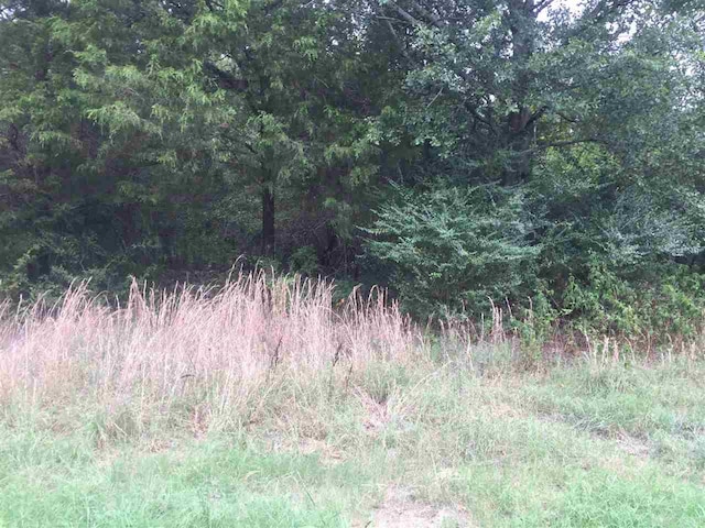 134 Jerry Ln, Judsonia, AR 72081