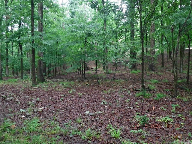 47 Segovia Dr, Hot Springs Village, AR 71909 - view of tree filled area