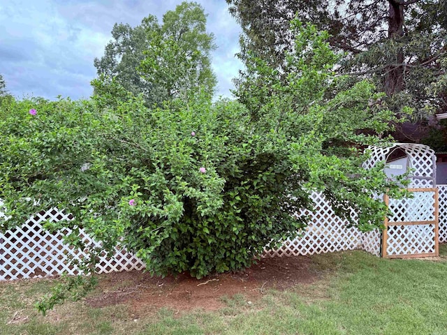 7 Butterfly Dr, Sherwood, AR 72120 - view of grassy yard