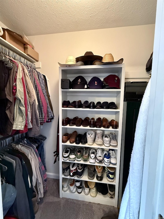7 Butterfly Dr, Sherwood, AR 72120 - walk in closet with carpet