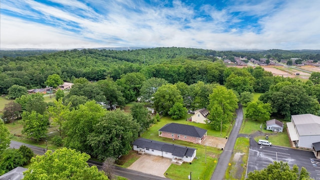 1 Park St Unit A & B, Mayflower, AR 72106 - aerial perspective of suburban area with a heavily wooded area