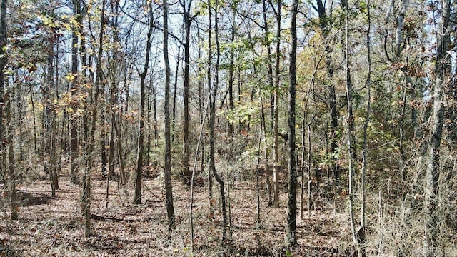 0 Atoka Dr, Bee Branch, AR 72013