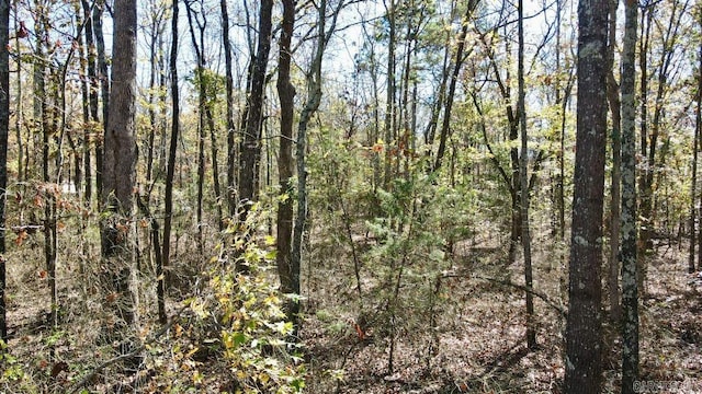 0 Atoka Dr, Bee Branch, AR 72013
