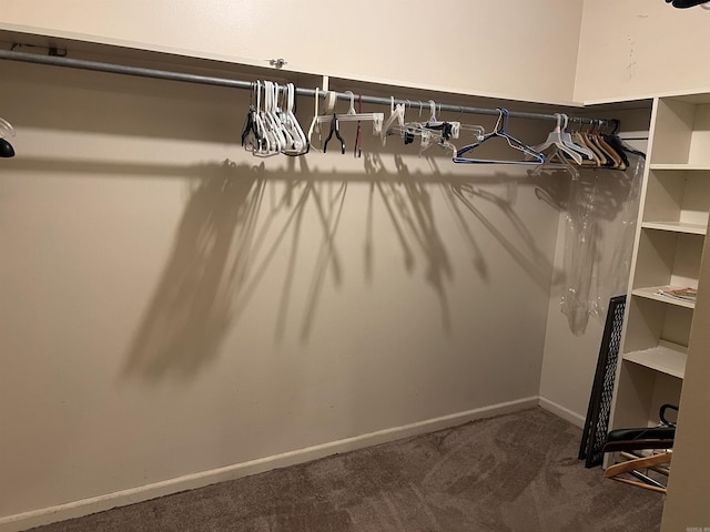 17003 Quail Run Dr, Little Rock, AR 72210 - spacious closet with carpet flooring