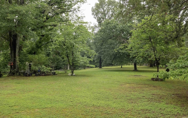 100 Rainbow Loop, Heber Springs, AR 72543 - view of grassy yard