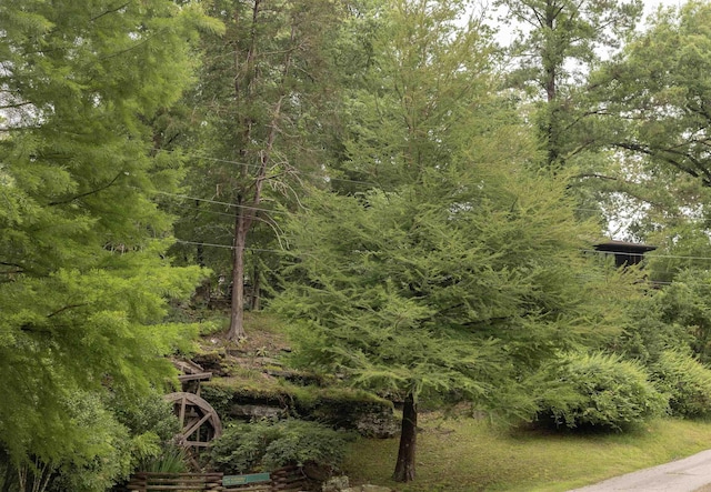 100 Rainbow Loop, Heber Springs, AR 72543 - view of tree filled area
