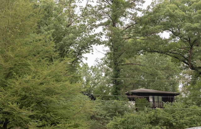 100 Rainbow Loop, Heber Springs, AR 72543 - view of tree filled area